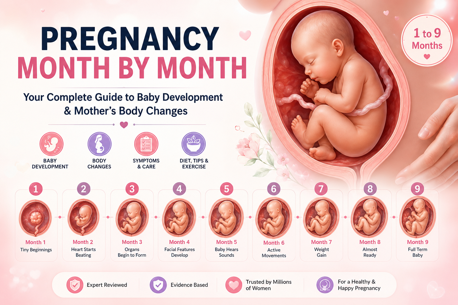 Pregnancy month by month infographic showing baby development from tiny beginnings in month 1 through full-term in month 9, with icons for baby development, body changes, symptoms, and diet